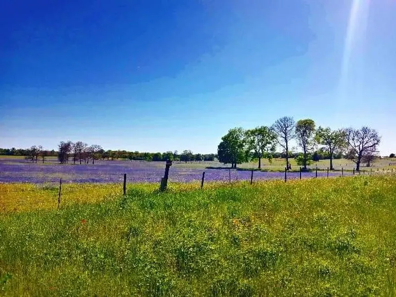 Grapeland Safari, Grapeland, Houston County