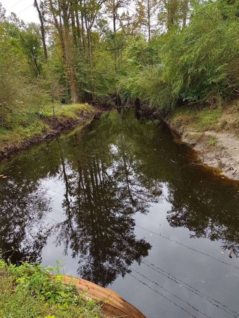 Cow Horn/New River Paddle Trail - Richlands to Jacksonville