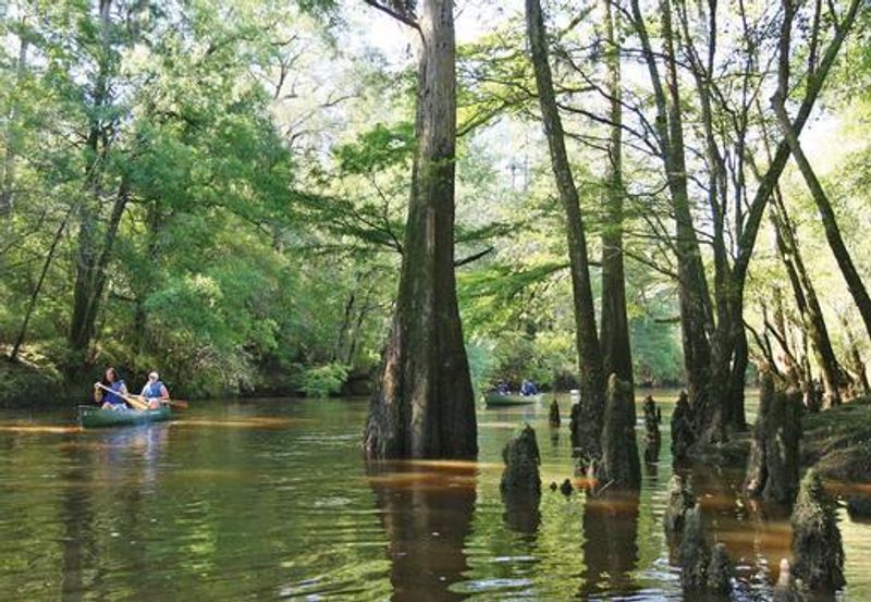 Make a Full Day of the Pee Dee Landscape