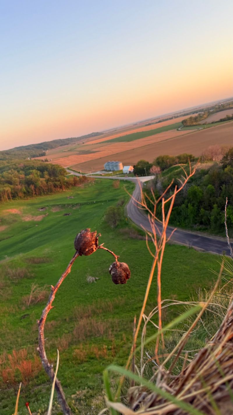 Murray Hill Scenic Overlook
