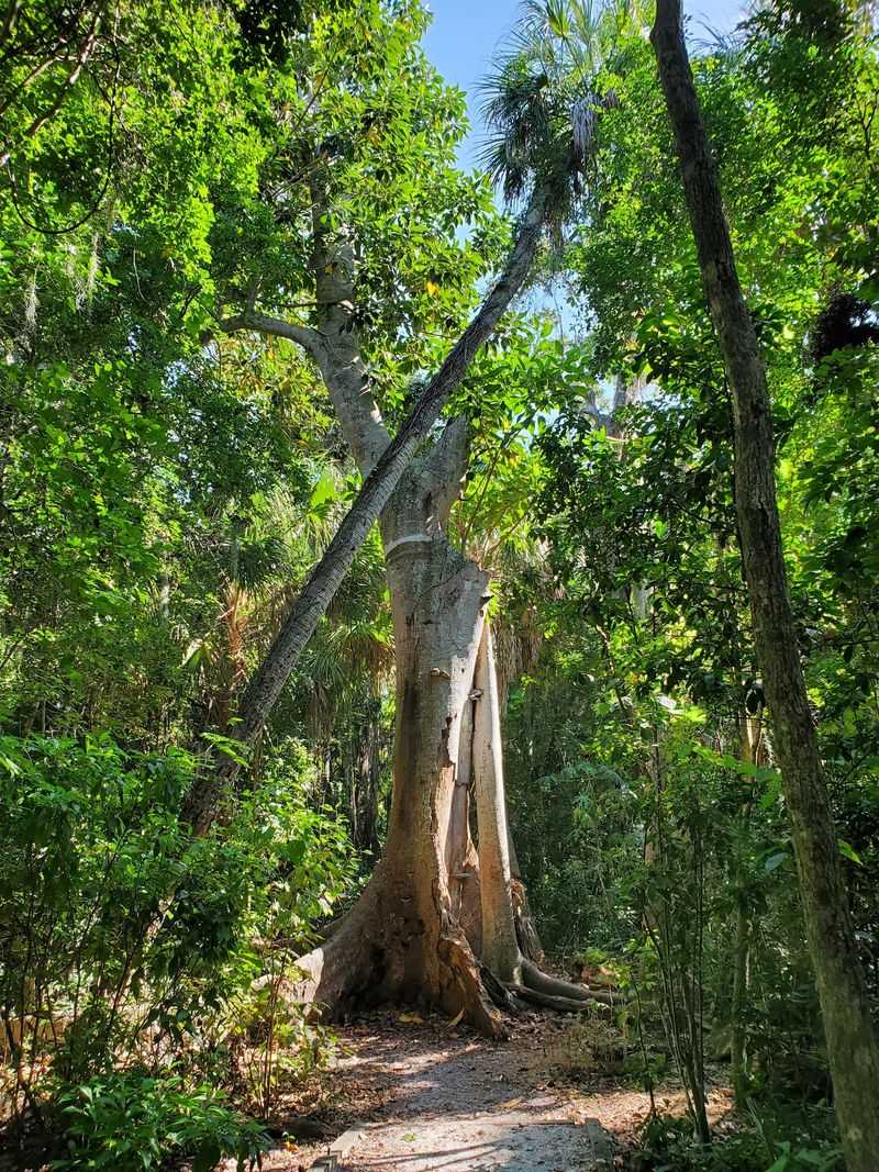 Emerson Point Tower in Palmetto, Manatee County,