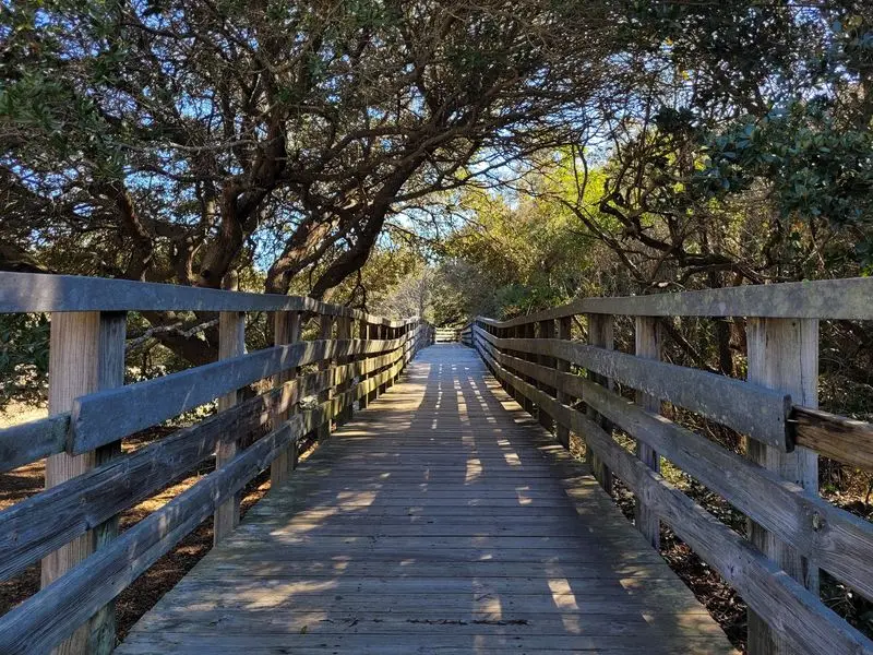 Tracks in the Sand Trail in Nags Head, Dare County,