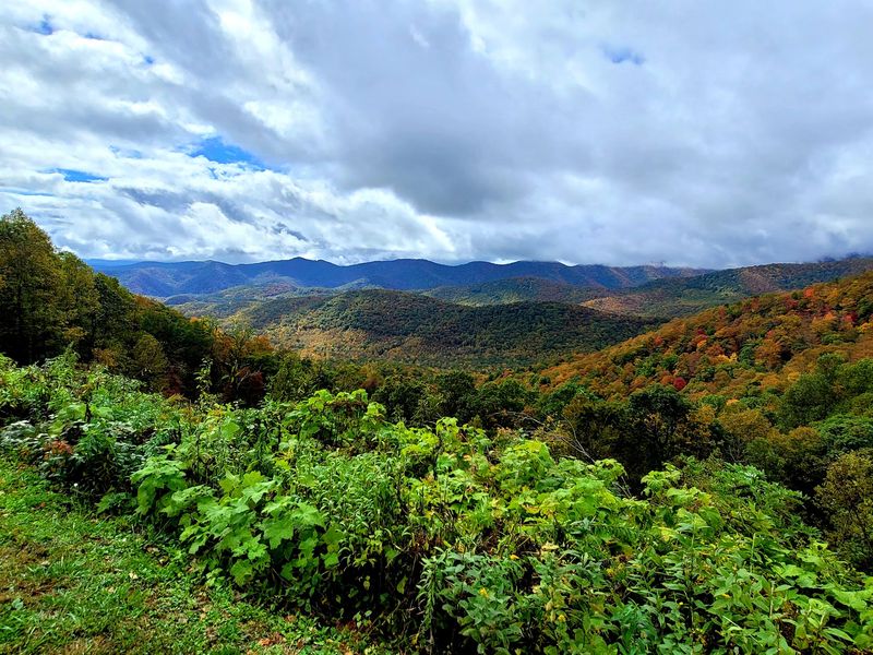 North Carolina Arboretum Trails - Asheville