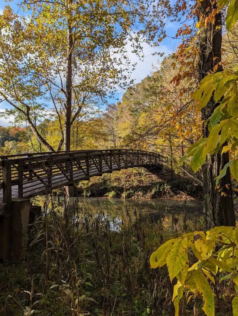 A Free Gorge Walk That Feels Bigger Than Expected