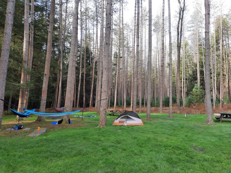 Cook Forest State Park, Cooksburg