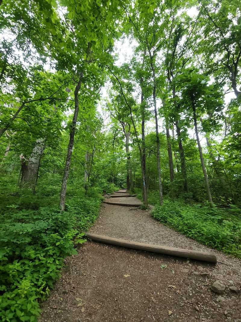 Humpback Rocks Trail, Lyndhurst, Augusta County