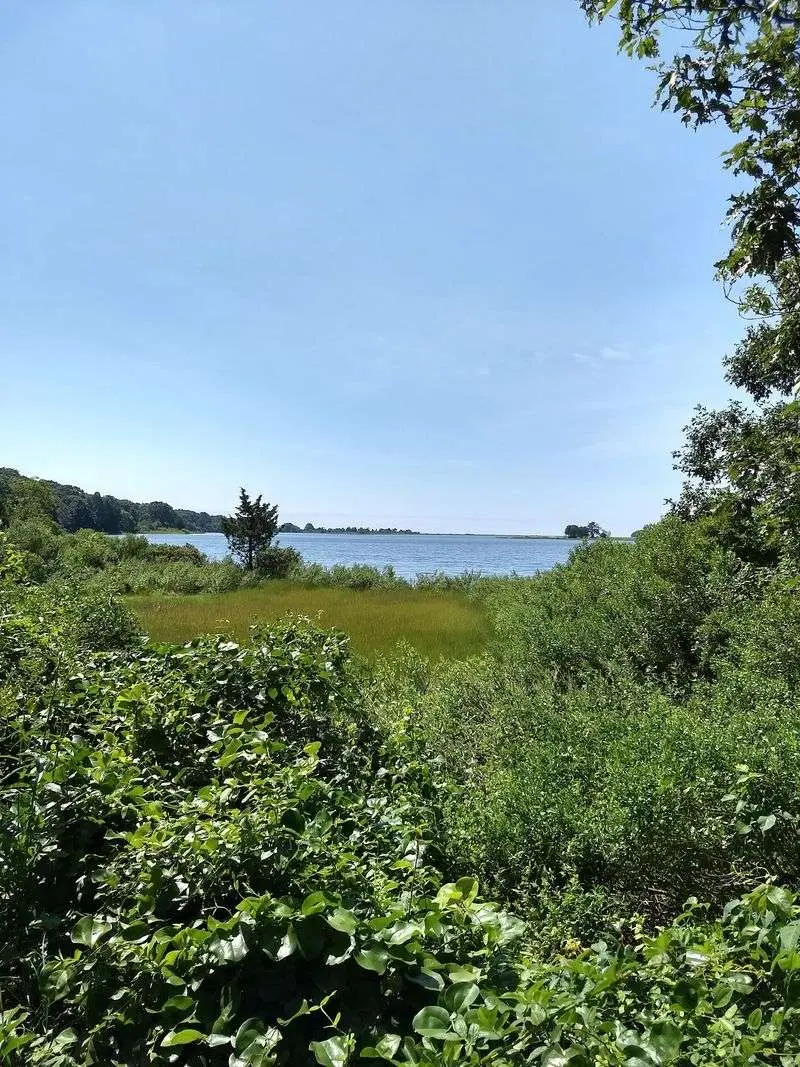 Bluff Point State Park - Coastal Hiking Near Groton