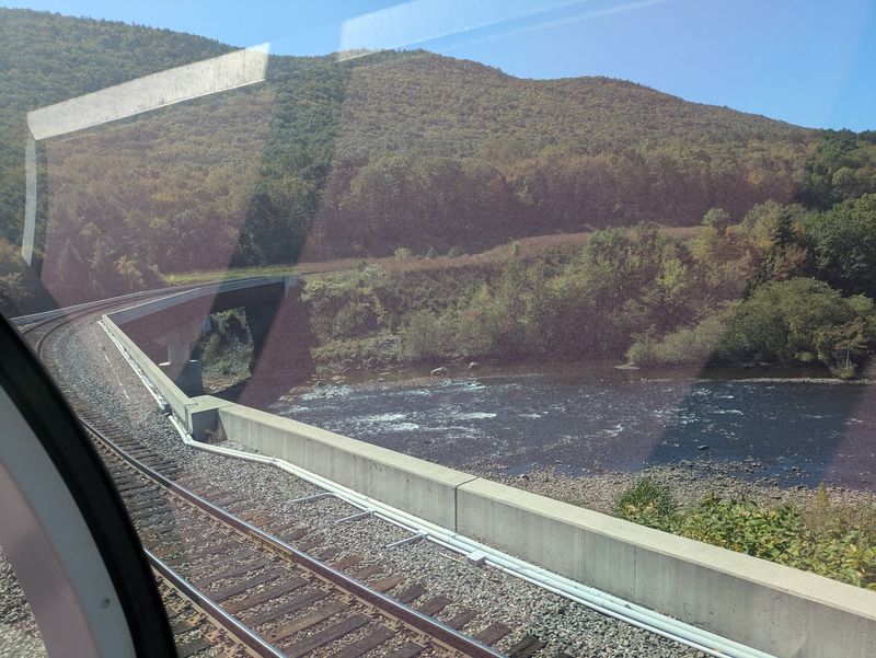 River, Cliffs, and Forest at Window Level