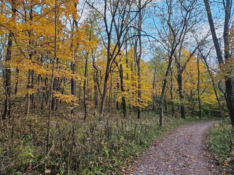 Bluff Views and Ravines at Highbanks Metro Park
