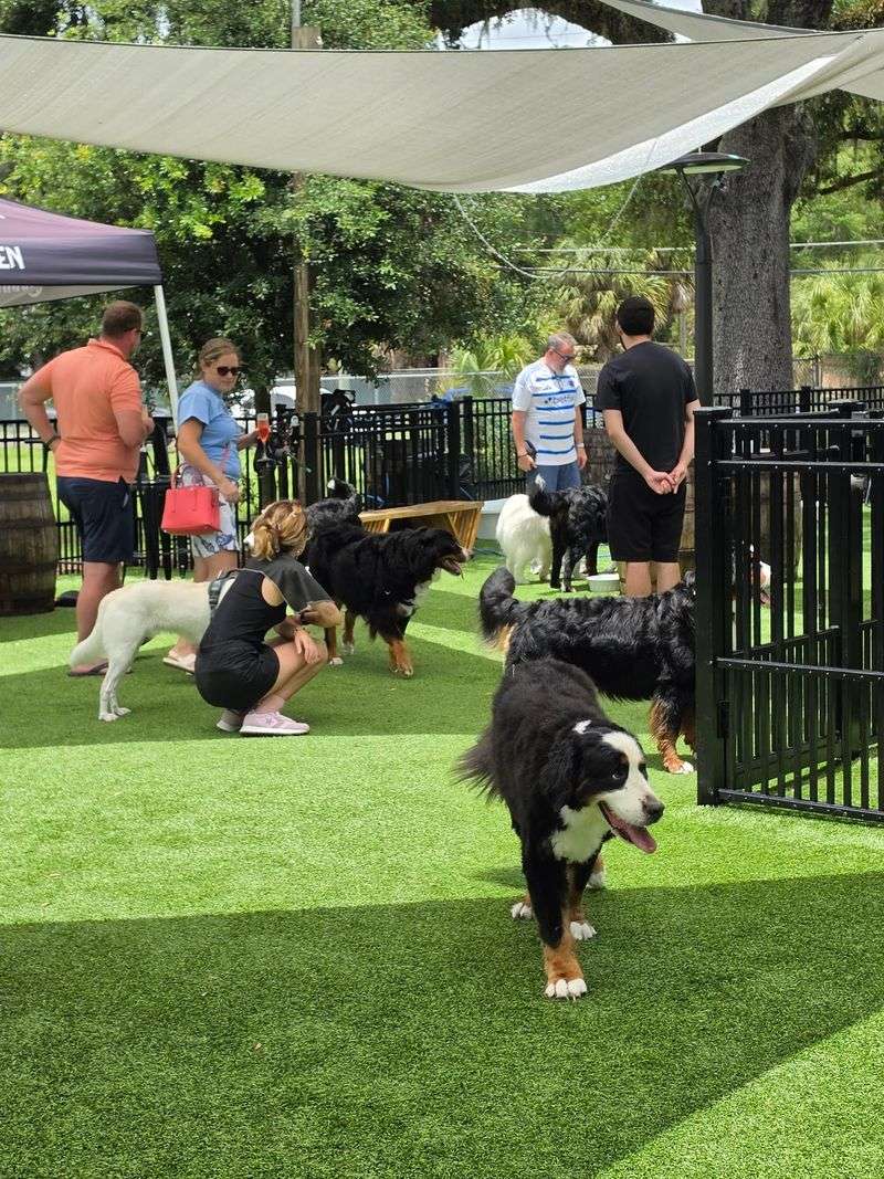 Make It a Social Outing for the Whole Family