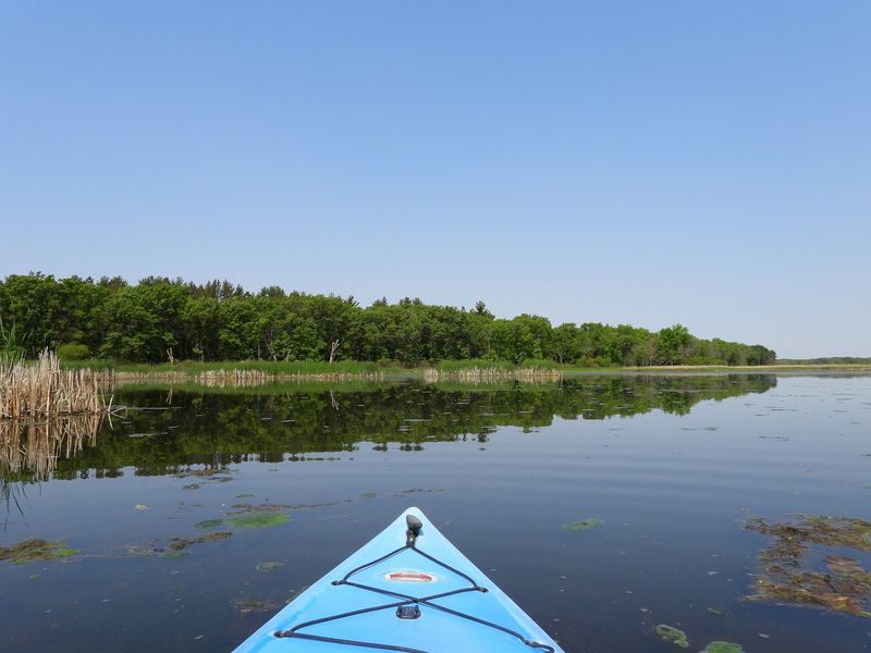 Sweet Marsh Wildlife Management Area in Tripoli, Bremer County,