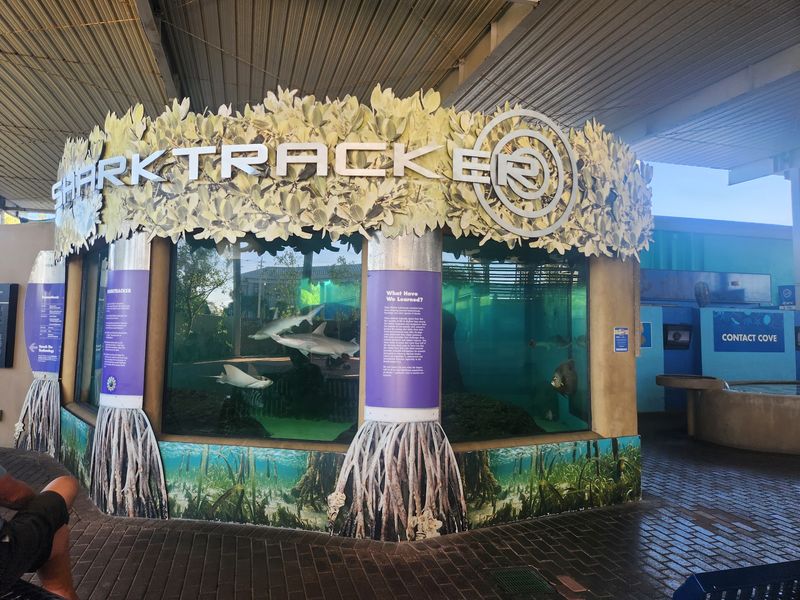 Real Labs That Make the Aquarium Feel Alive