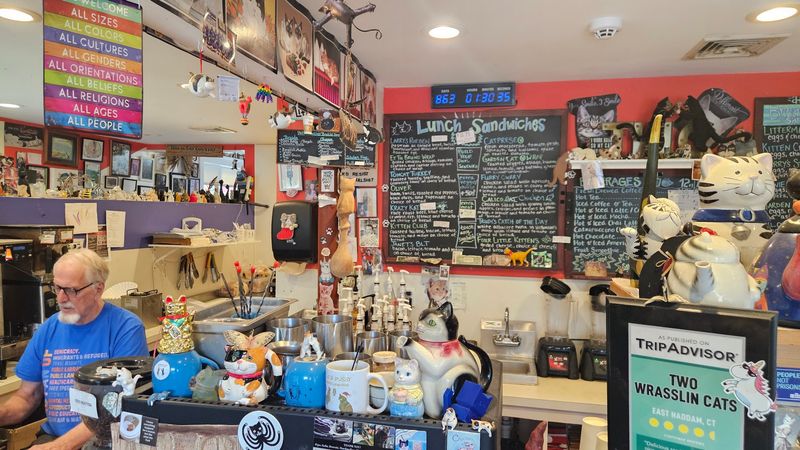 Kind Staff Keep the Place Feeling Personal
