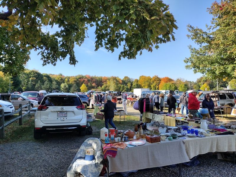 A Sunday Tradition That Turns Todd Farm Into A Giant Treasure Hunt