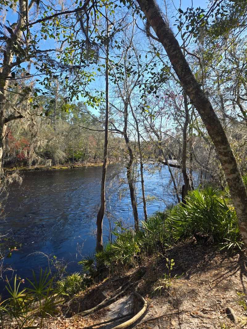 Big Shoals Trail - Big Shoals State Park