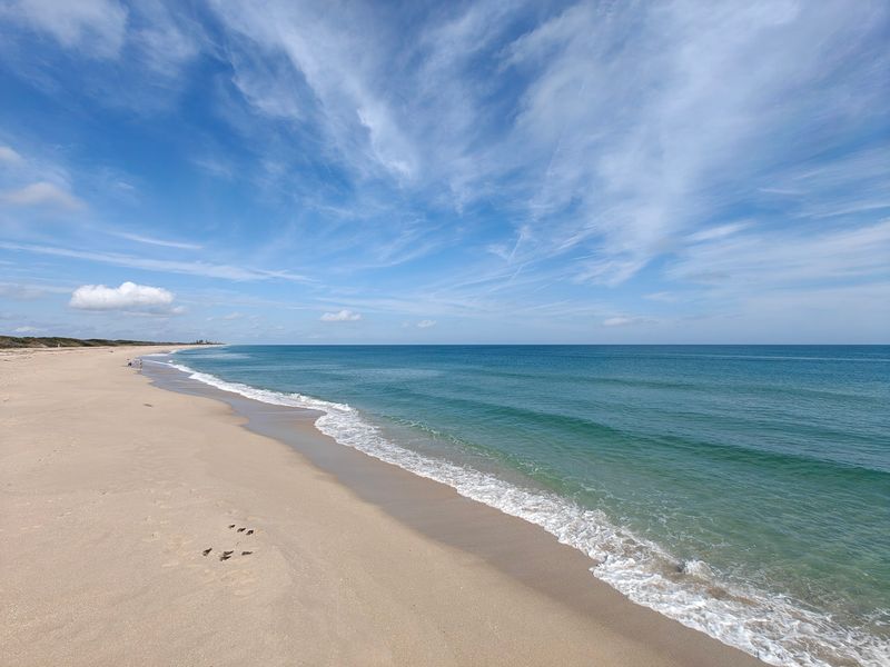 Explore a Wild Coastal Beach at Sebastian Inlet