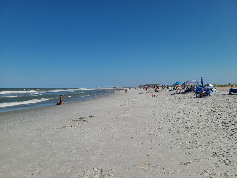 Spend a Beach Day at Anastasia State Park in St. Augustine