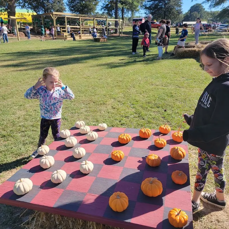 Ken's Korny Corn Maze - Garner