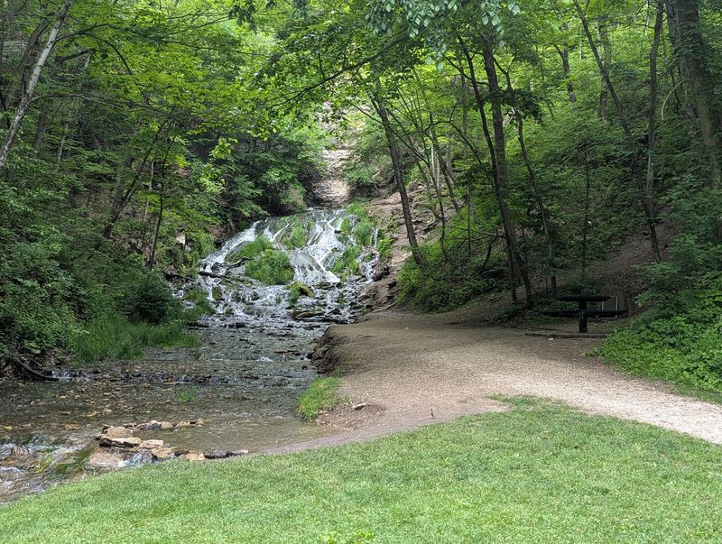 Dunning’s Spring Park - Decorah