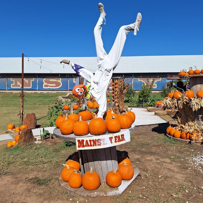 Mainstay Farm Park, Cleburne