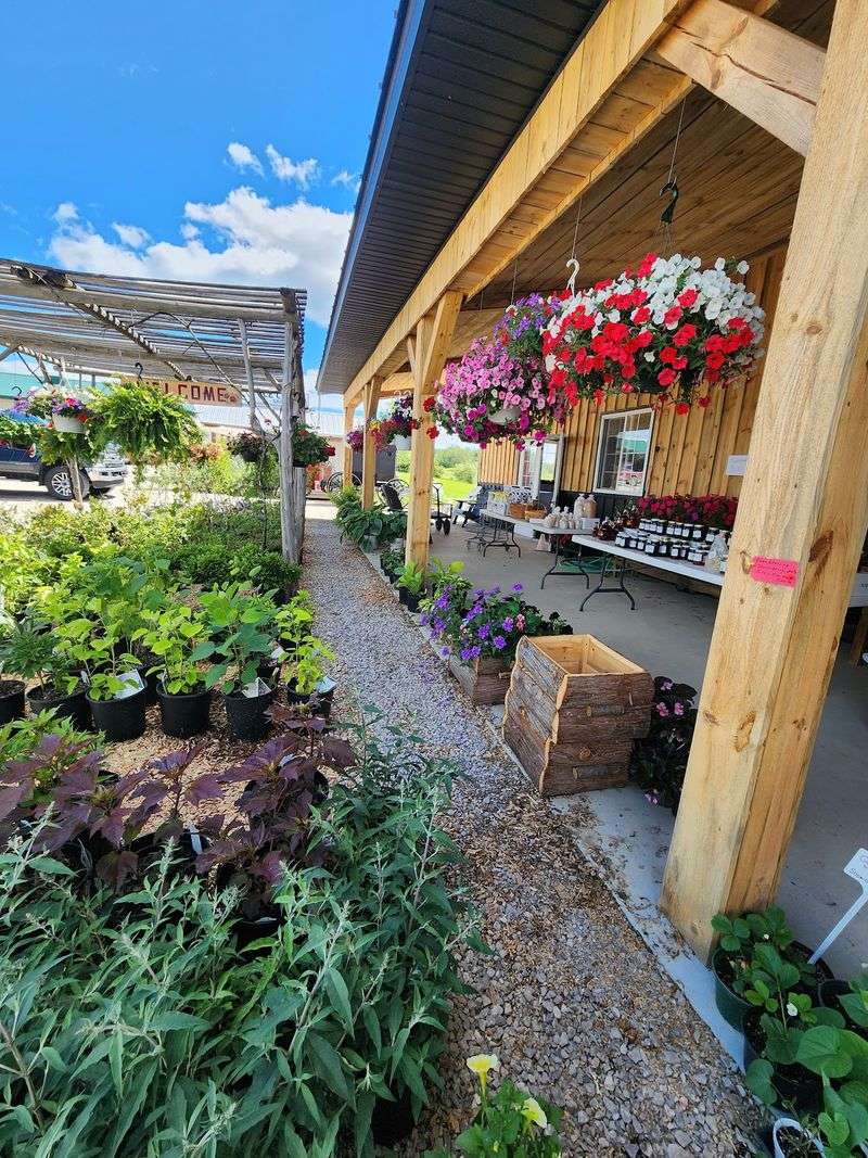 Seasonal Produce and Plants