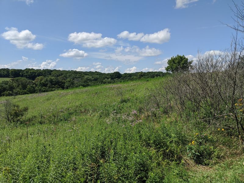 Hickory Hill Park - Iowa City