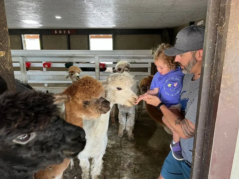 Tiny Animals, Huge Charm at Pure Passions Farm