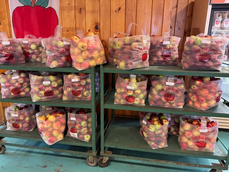 Big Apple Farm - Wrentham