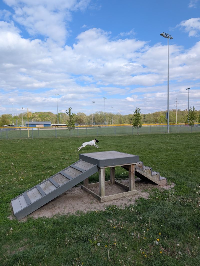 Tiffin Dog Park - Tiffin