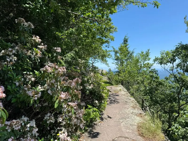 North-South Lake Trails - Catskills