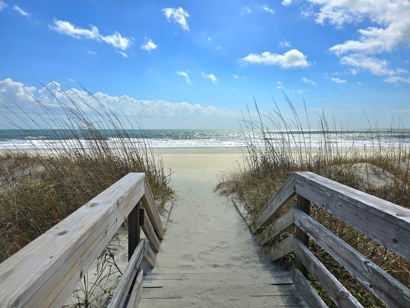 Huntington Beach State Park - Murrells Inlet