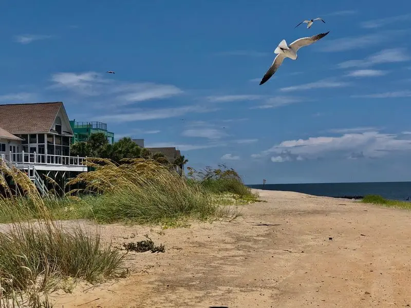 Edisto Beach