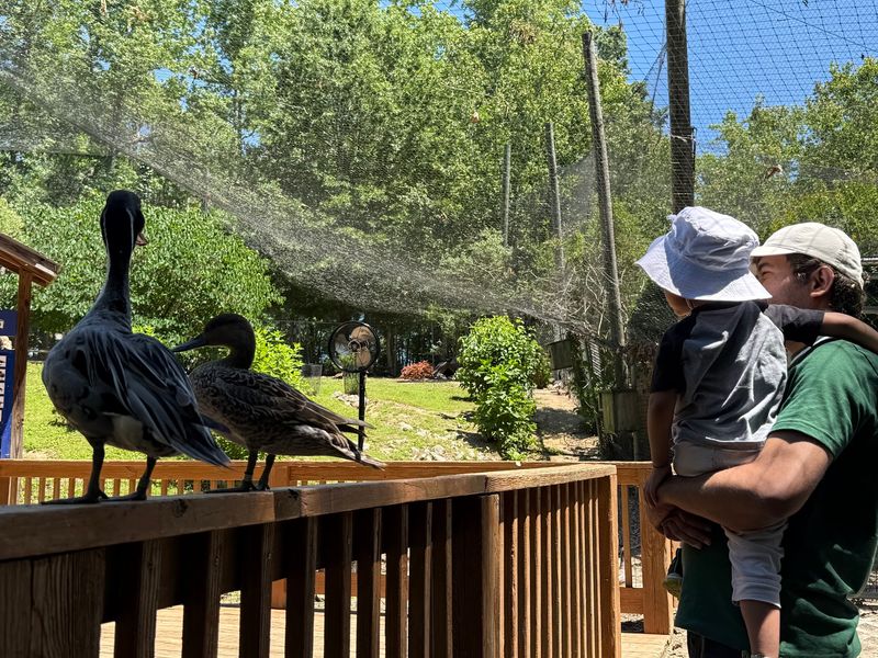 Families Find More Than Pretty Feathers