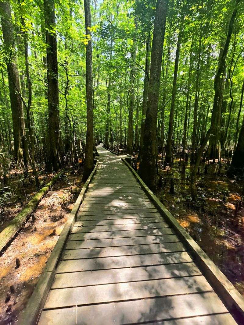 Congaree National Park Boardwalk Trail, Hopkins, Richland County