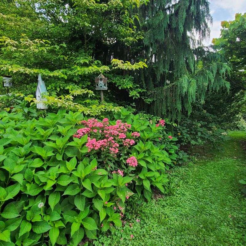 Garden Paths With Whimsy And Charm