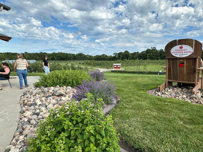 Country Blossom Farm, Oronoco, Olmsted County,