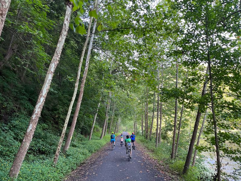 Follow Pine Creek Through The Gorge