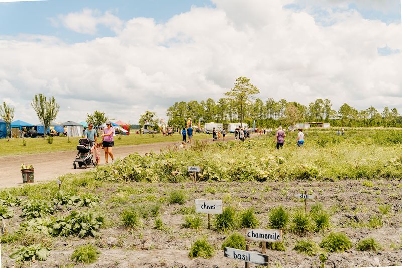 Wesley Wells Farms - St. Augustine