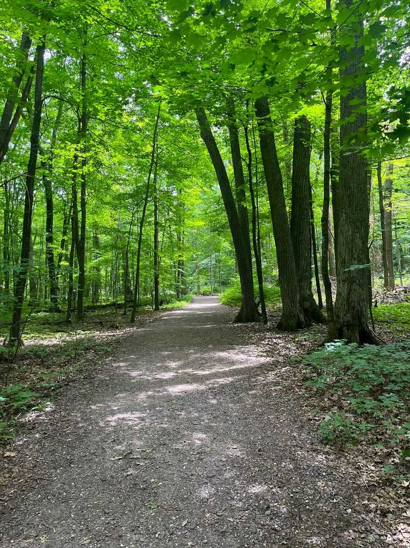 East Bluff Trail - Baraboo