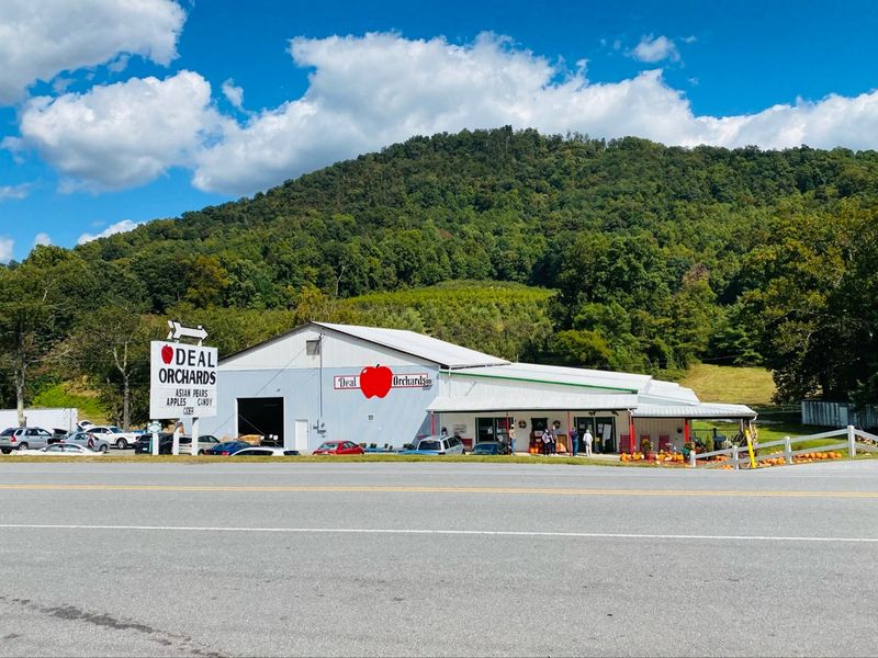 Deal Orchards - Taylorsville