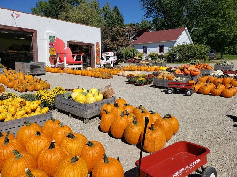 Coloma, Berrien County, Orchards, Lakes, And Easy Detours