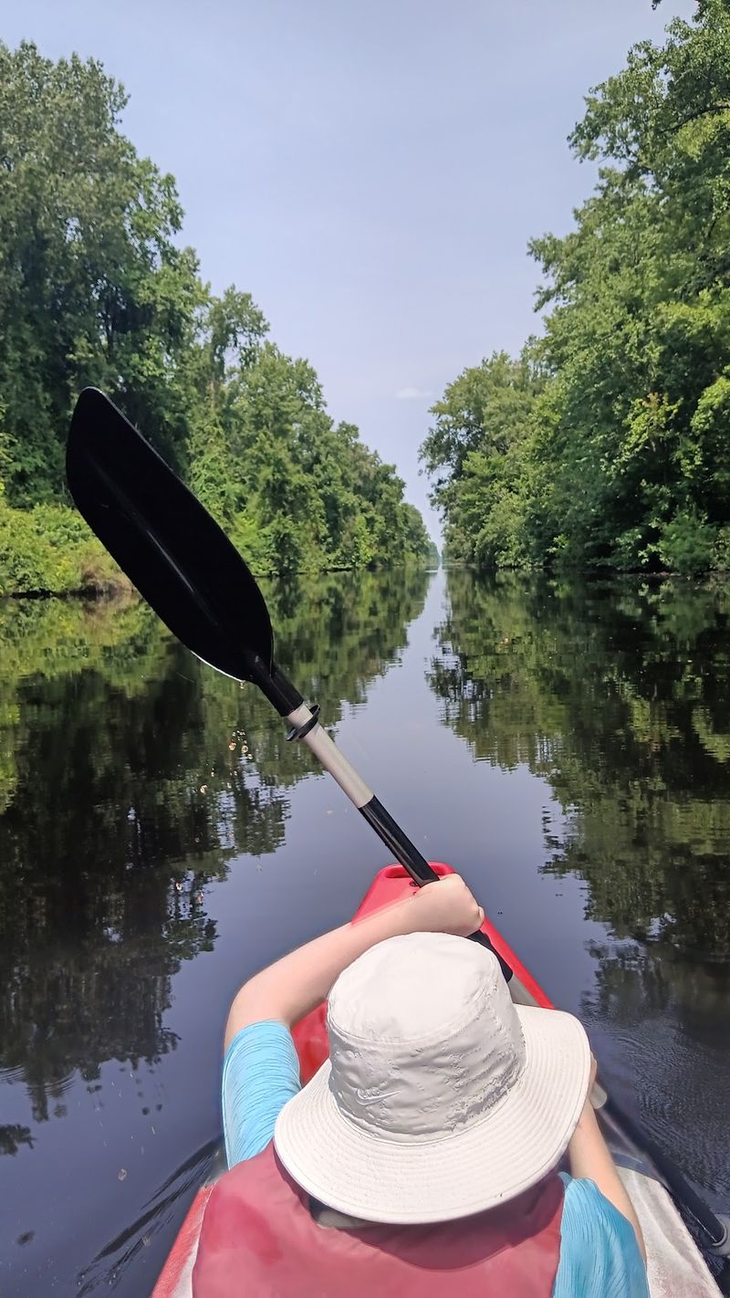 Dismal Swamp State Park - Canal & Swamp Waters