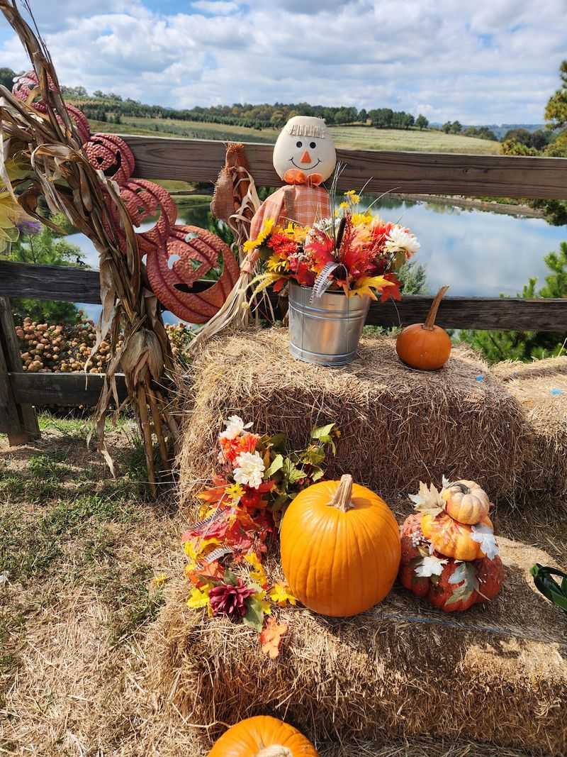 Mercier Orchards, Blue Ridge, Fannin County