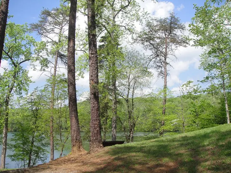 Fairy Stone Lake