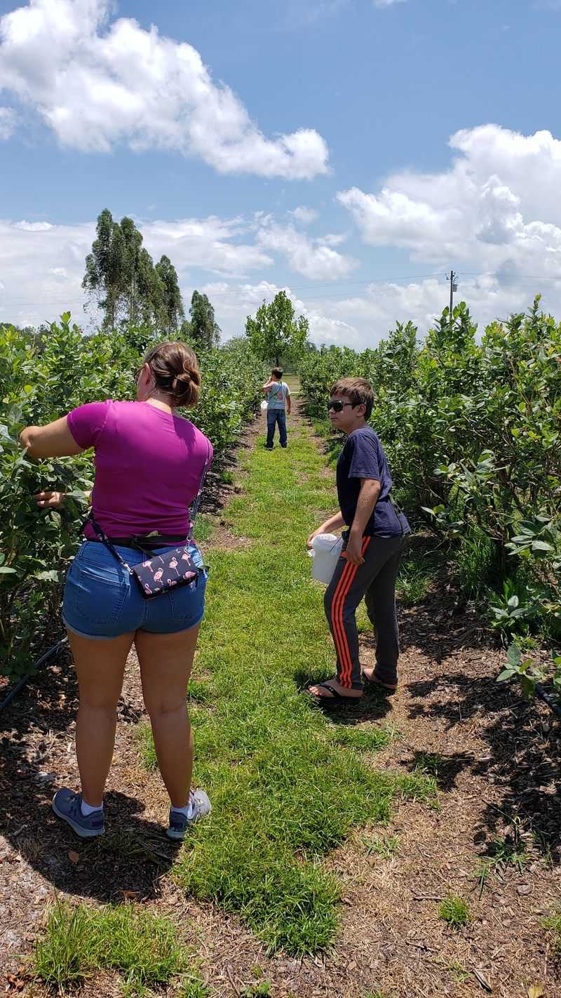 Explore A Real Working Organic Farm