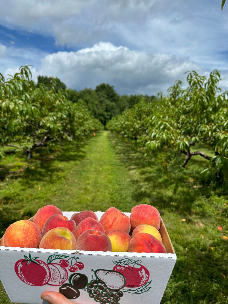 Hayrides That Add Old-Fashioned Fall Fun