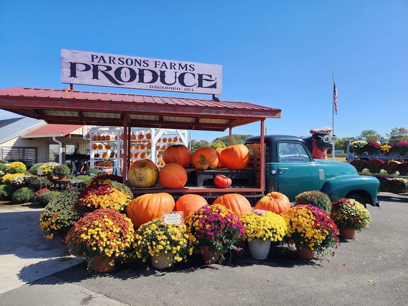 Garden Center and Plant Paradise