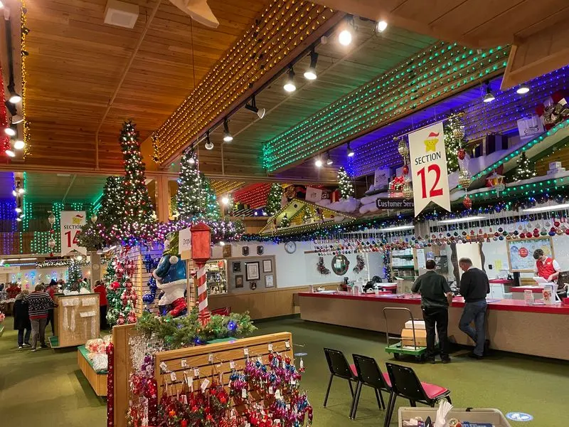Compare Lights, Trees, and Bigger Decorations