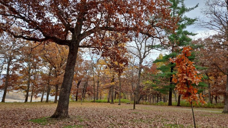 Ancient Mounds Add Meaning To The Landscape