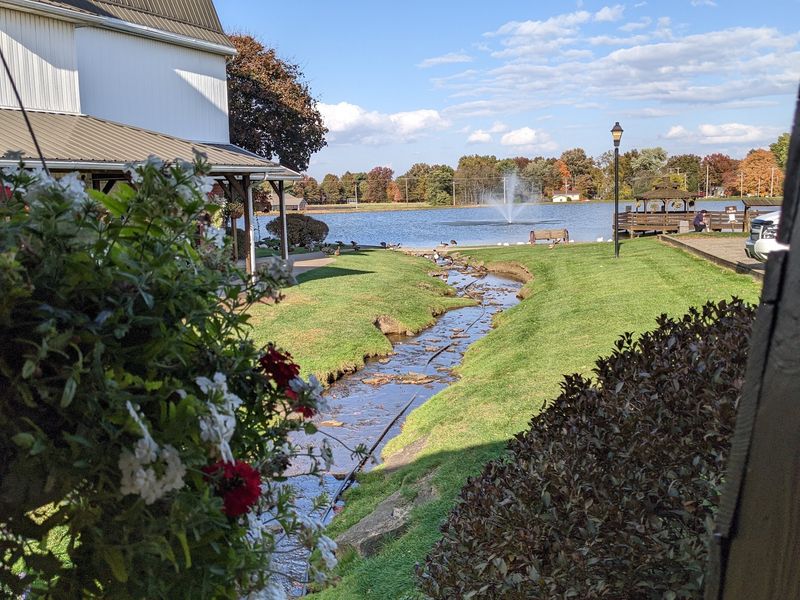 A Pond Break After the Meal